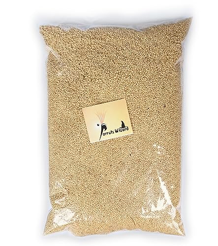 Parrots Wizard All Life Stages Dry Bird Food Small Size Kangni Seed Bird Food (950 Grams - 1)