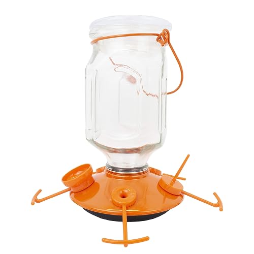Perky-Pet 9113-1SR Top Fill Glass Oriole Feeder - 3 Types of Food - Jelly Cup, Fruit Spike, and Nectar - Outdoor Garden Décor, Unique Gifts