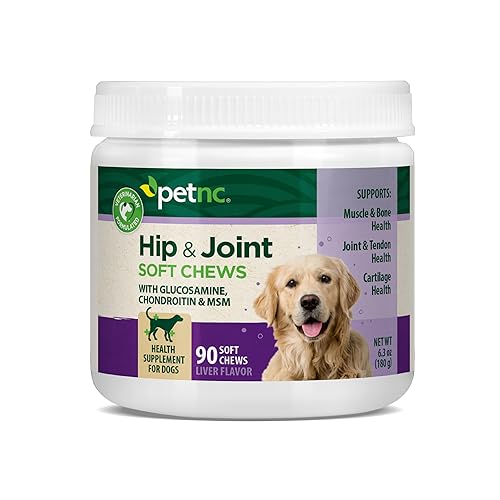 Petnc Hip & Joint Health Supplement for Dogs (90 Chews), Glucosamine Chondroitin MSM Dog Chews with Hyaluronic Acid, Liver Flavored Bone & Joint Support Supplement, For All Breeds
