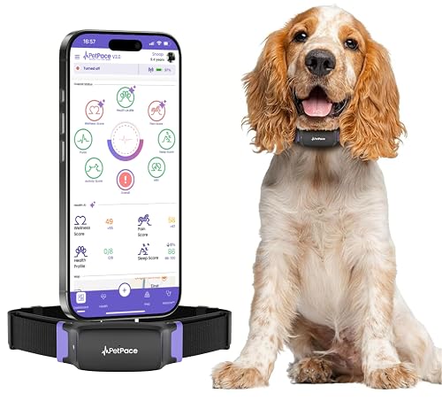 PetPace V3.0 Dog Health Monitor – AI Health Collar with 24/7 Vital Signs Tracks Pain GPS, Telehealth AskaVet & Share with Your Vet & Apple Watch Sync – Subscription Required (Medium)