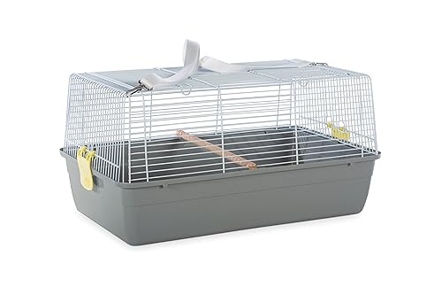 Prevue Pet Products Small Animal Travel Carrier - Hamster, Bird, Parakeet, Gerbil, Rabbit, Ferret, Guinea Pig, & Rat Carrier, Easy Pet Transportation, Travel Bird Cage, Lightweight & Portable - Gray