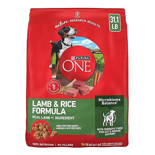 Purina ONE Dry Dog Food Lamb and Rice Formula - 31.1 lb. Bag