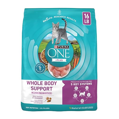 Purina ONE Plus Whole Body Support with Chicken Dry Cat Food - 16 lb. Bag