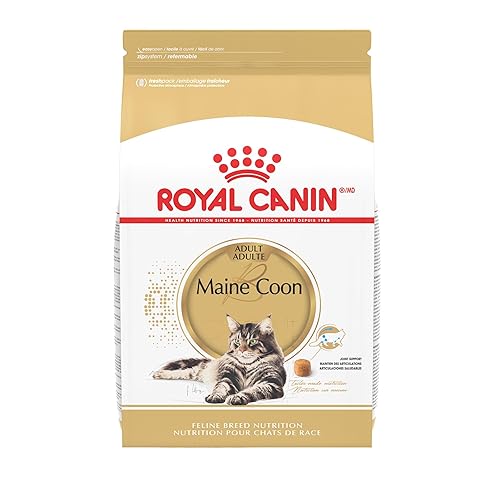 Royal Canin Feline Breed Nutrition Maine Coon Adult Dry Cat Food, 6 lb Bag