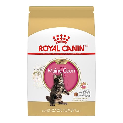 Royal Canin Feline Breed Nutrition Maine Coon Kitten Dry Cat Food, 3 lb Bag