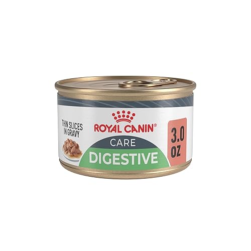 Royal Canin Feline Care Nutrition Digestive Care Adult Thin Slices in Gravy Cat Food, 3 oz (Pack of 24)