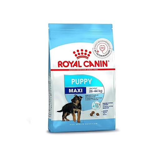 Royal Canin Maxi Puppy Food, Dry Food, Supports Immune System & digestive health, Provides Long growth, moderate energy, 1 Kg