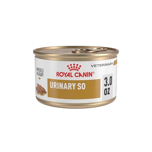 Royal Canin Veterinary Diet Feline Urinary SO Adult Morsels in Gravy Cat Food, 3 oz (Pack of 24)