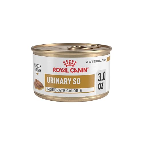 Royal Canin Veterinary Diet Feline Urinary SO Moderate Calorie Adult Morsels in Gravy Cat Food, 3 oz (Pack of 24)