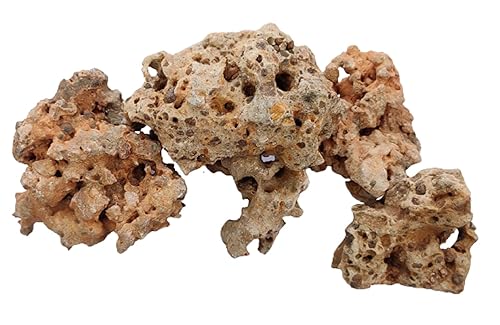 RUKDA® Authentic Natural Hole Congo Rock: Versatile Stone for Aquariums Decor, Gardens Decoration, Bonsai Rock Base, and Home Decoration - (Congo Rock 1 Kg)