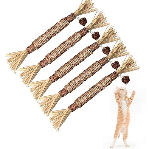 Silvervine Sticks Cat Chew Toys for Indoor Cats Dental Care Teeth Cleaning, Natural Kitten & Cat Teething Toys for Health, Cat Chew Stick Treat Edible Suitable for All Breeds of Aggressive Chewers Cat
