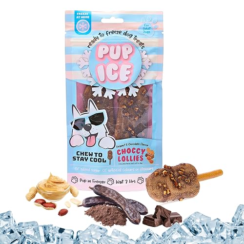SPOT Pup Ice Dog Treats – Freeze-at-Home Edible Chews for Medium Breed Dogs & Puppies, Safe Peanut & Carob Flavor (No Chocolate), 2ct Rocket Lollies with Real Chicken