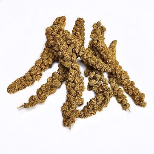 Spray Millet for Birds, Natural Sun-Dried Red-Millet for Birds Original Parakeet Food & Treats Spray Millet for Parakeets Parrots Cockatiels Lovebirds Finches Budgies Hamsters (200 gram)
