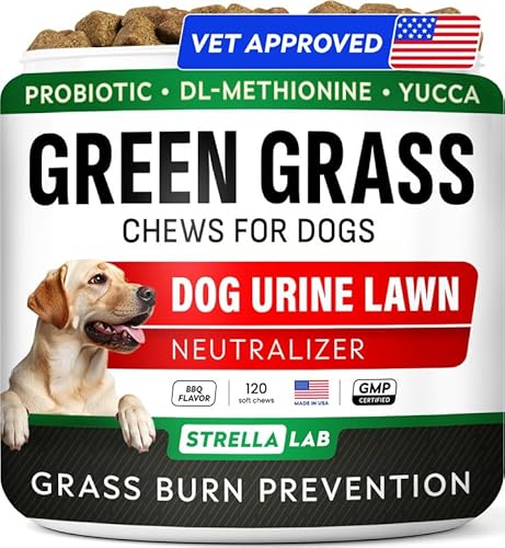 STRELLALAB Dog Pee Grass Chews - Urine Neutralizer for Green Grass Burn Spots - Grass Treatment for Pet Urine - Green Lawn Chews for Dogs with Probiotics - Made in USA (120Ct)