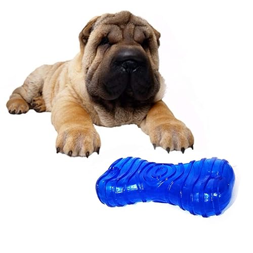 TPR Squeaky 6 Inch Bone Toy Chew Toy for Dogs & Puppies (Color May Vary)