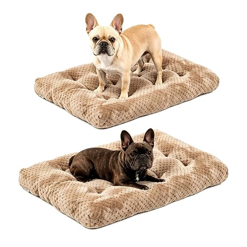 Two Plush Dog Beds, Deluxe Dog Bed for Large, Medium, Small Dogs, Crate Pad and Cat Bed, Non-Slip Bottom Kennel Pad, Fuzzy Pet Sleeping Mat, Machine Washable (2/Pack, 24" x 16", Brown)