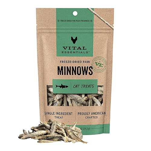 Vital Essentials Freeze Dried Minnows Cat Treats | Single Ingredient | Premium Quality | Grain Free, Healthy Treats for Cats, 1 oz Bag