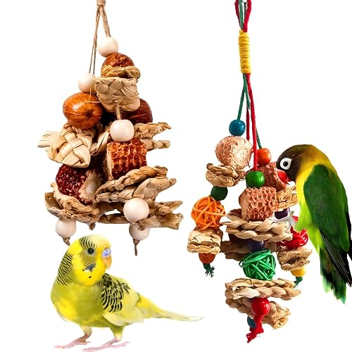 XLpeixin 2pcs Bird Toys for Parakeets,Foraging Toys for Birds Parrot Chewing Hanging Toy,Bird Cage Toy for Conure Cockatiel Budgies Lovebird